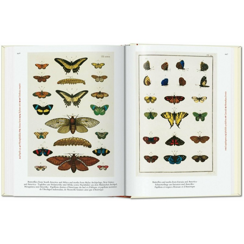 A Collection of Curiosities: A Sketchbook (Twig & Moth) – nature+nurture