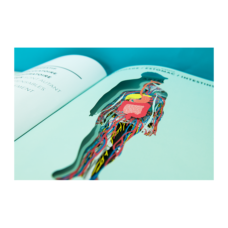 anatomy-a-cutaway-look-inside-the-human-body-te-vikiye-patika-kitabevi