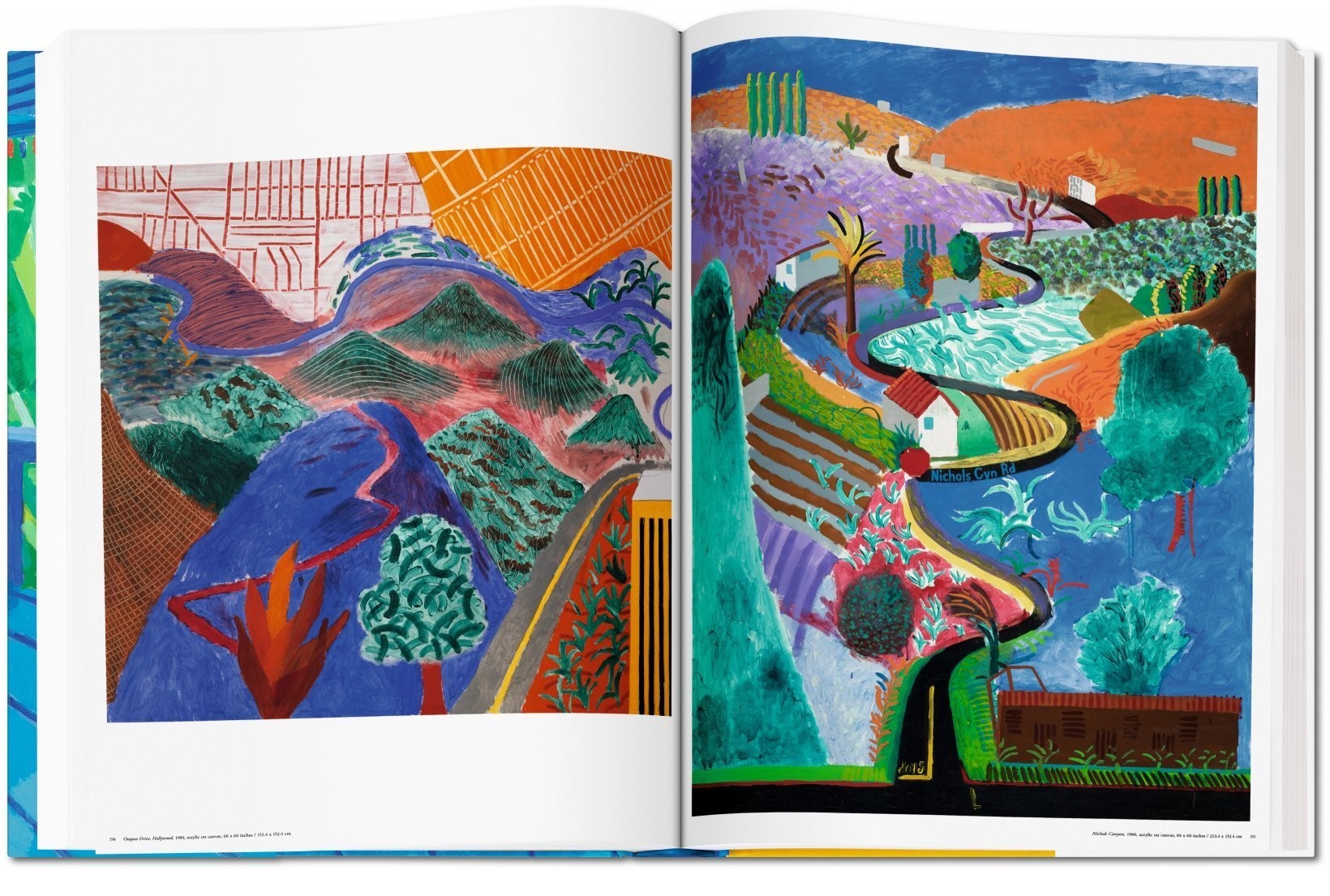 David Hockney. A Bigger Book - Teşvikiye Patika Kitabevi