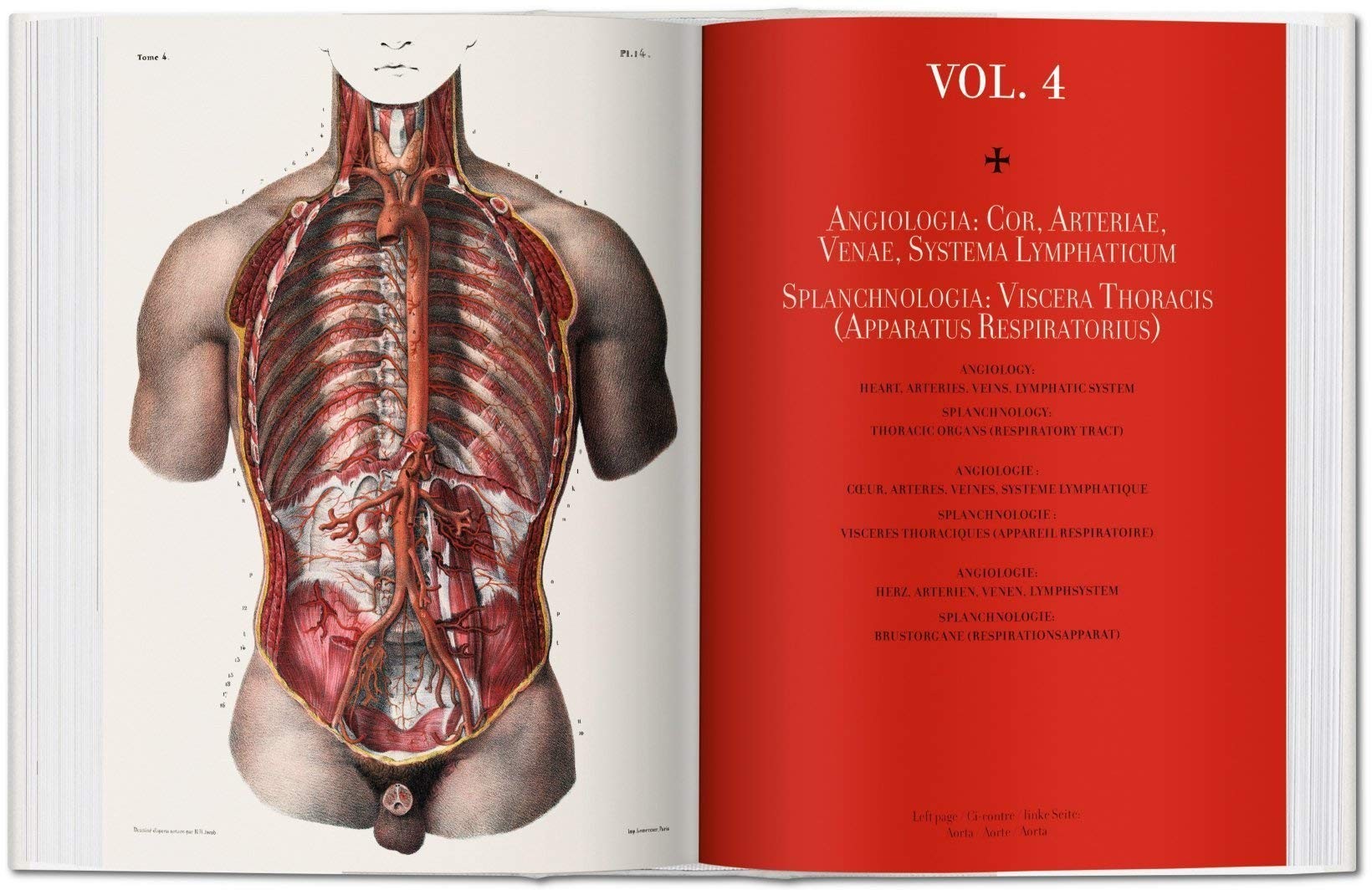 Bougery. Atlas of Human Anatomy and Surgery - Teşvikiye Patika 