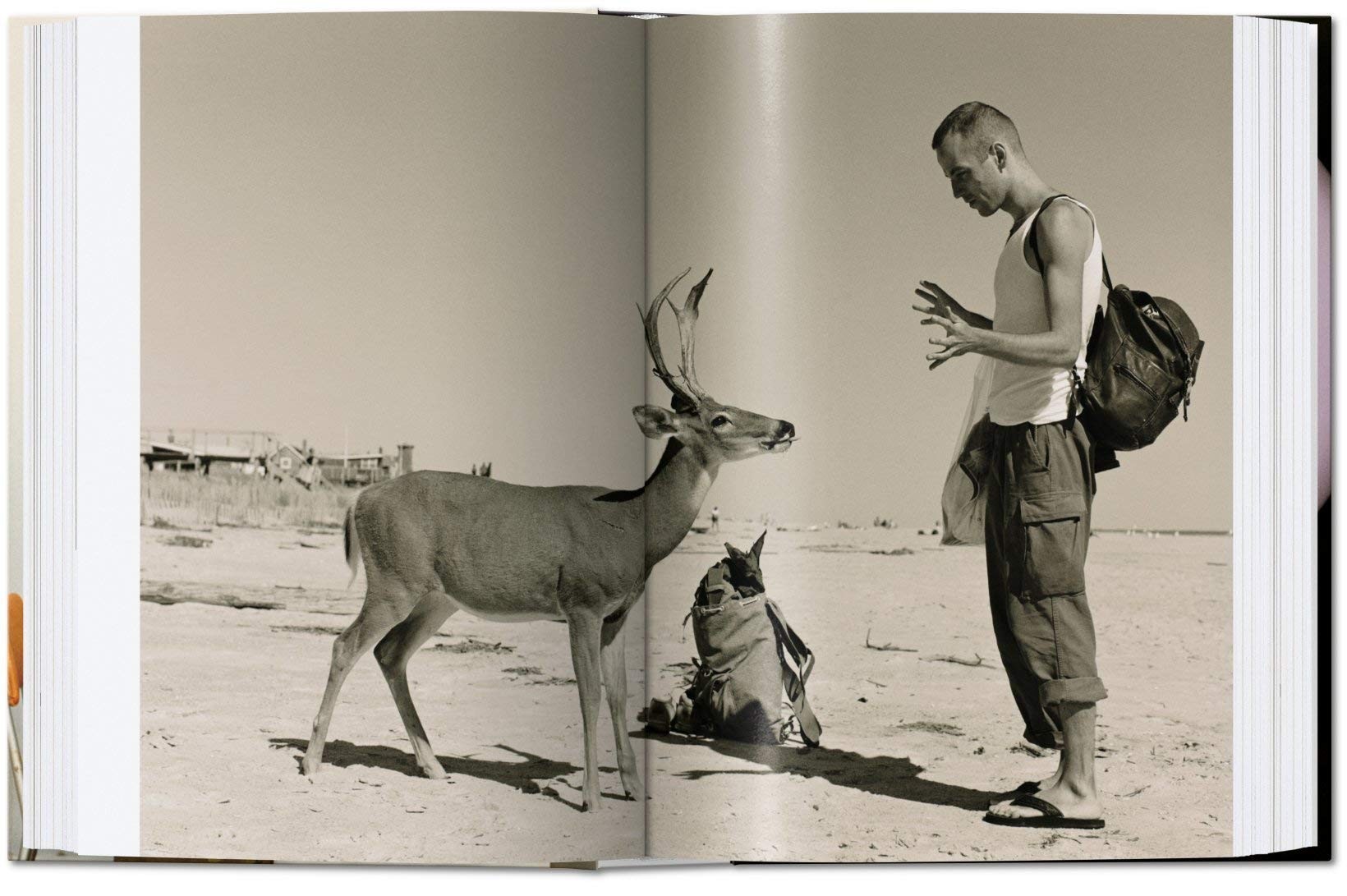 Wolfgang Tillmans. four books. 40th Anniversary Edition