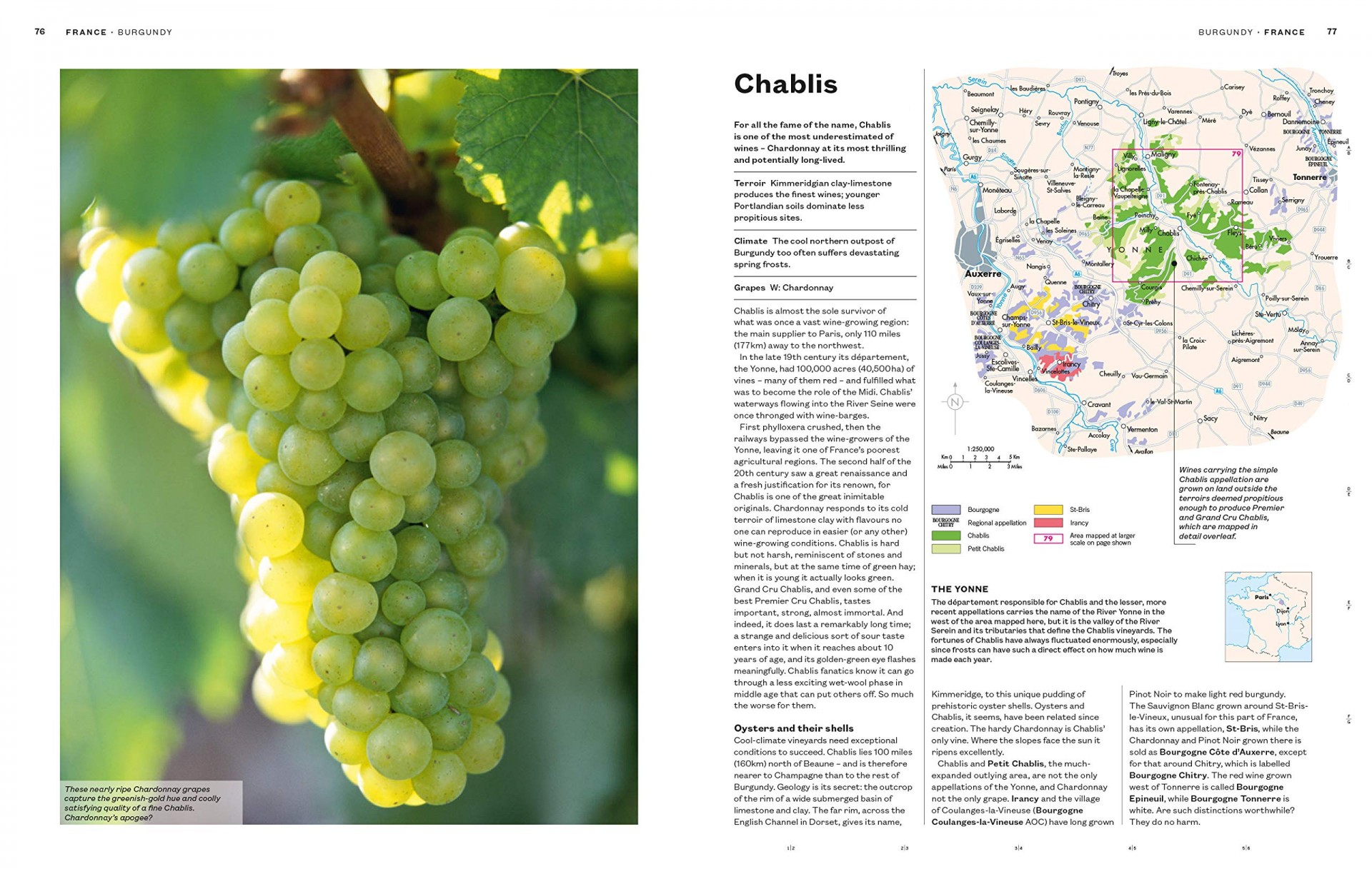 World Atlas of Wine 8th Edition - Teşvikiye Patika Kitabevi