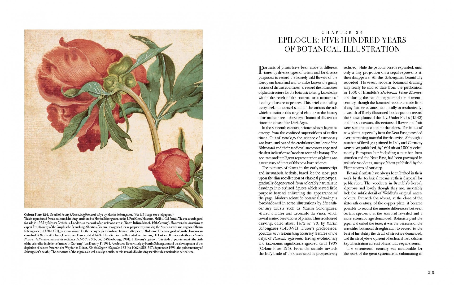 The Art of Botanical Illustration - Teşvikiye Patika