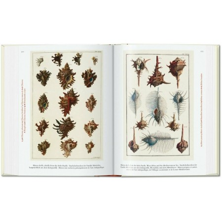 Seba. Cabinet of Natural Curiosities. 40th Ed. - Teşvikiye Patika 